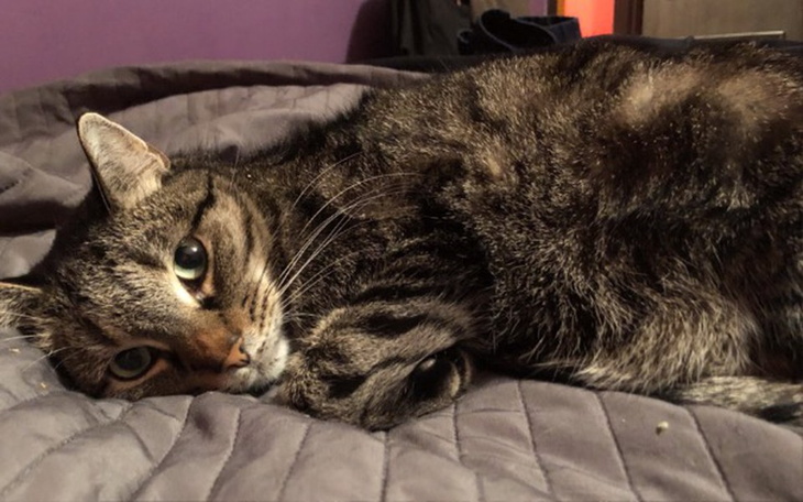 Zbiórka Na leczenie Małego - zdjęcie główne