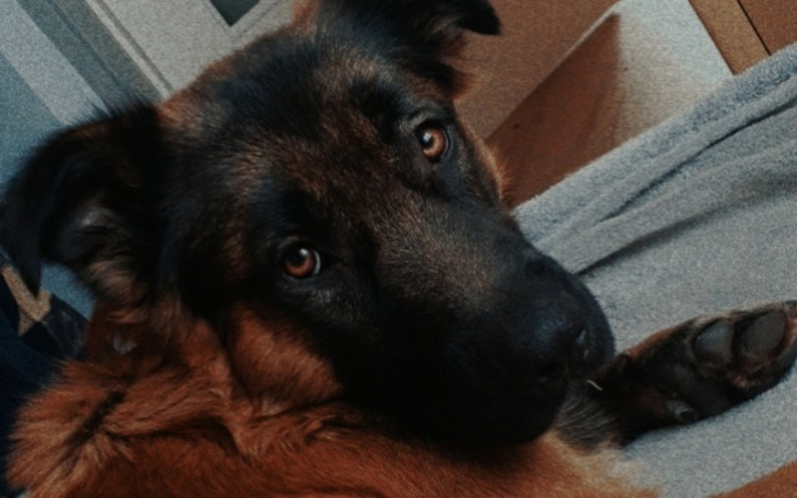 Zbiórka Zabieg chirurgiczny Kakusia - zdjęcie główne