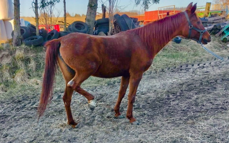 Zbiórka PILNE- Operacja ratująca życie - zdjęcie główne