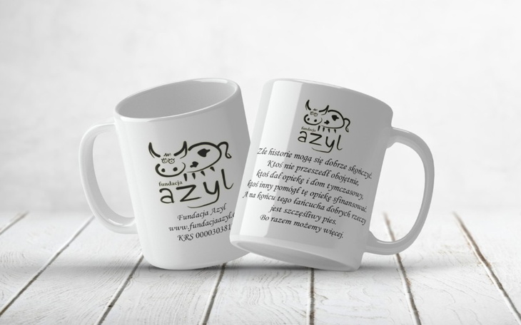 Zbiórka Kubki Fundacji Azyl - zdjęcie główne