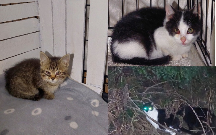 Zbiórka Zatrzymajmy razem bezdomność - zdjęcie główne