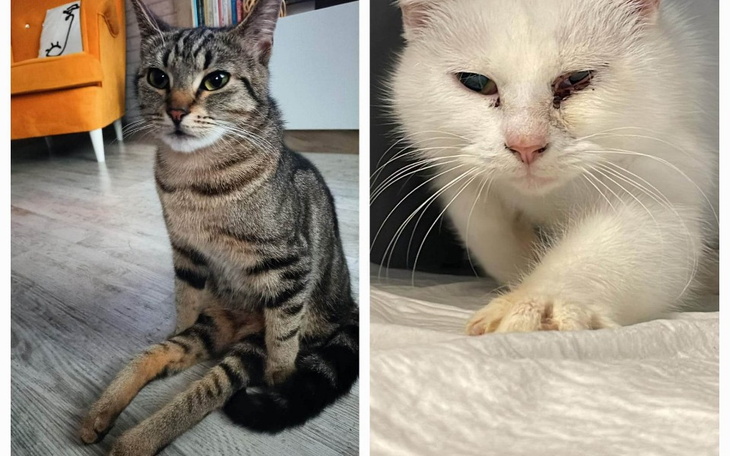 Zbiórka Kruche życie podopiecznych - zdjęcie główne