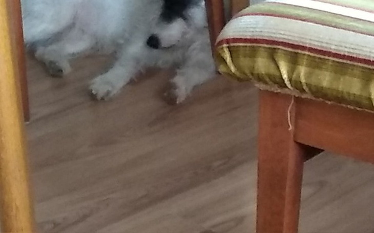 Zbiórka Niespodzianka dla mamy. - zdjęcie główne