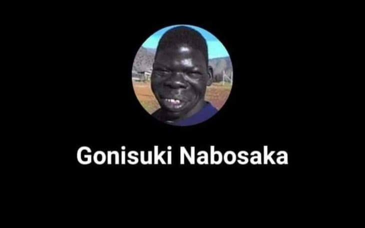 Zbiórka Na uleczenie dzikiego olka - zdjęcie główne