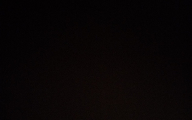 Zbiórka operacja usuniecia guza u psa - zdjęcie główne