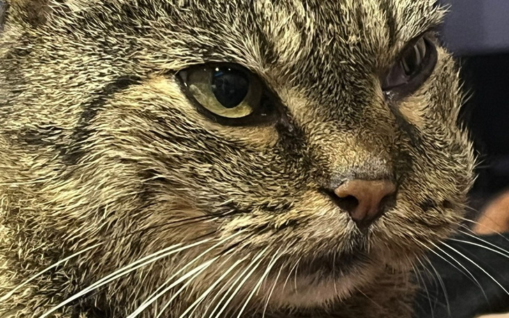 Zbiórka Stasia walczy z RAKIEM - zdjęcie główne