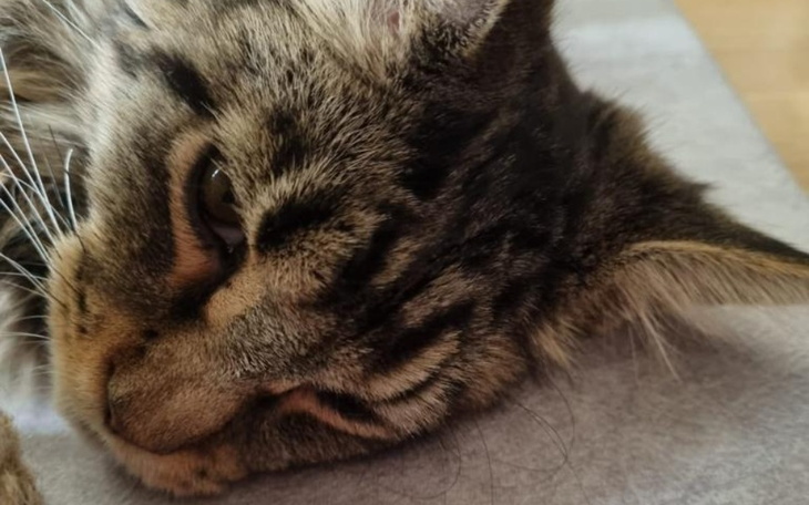 Zbiórka Wifi vs FIP - zdjęcie główne