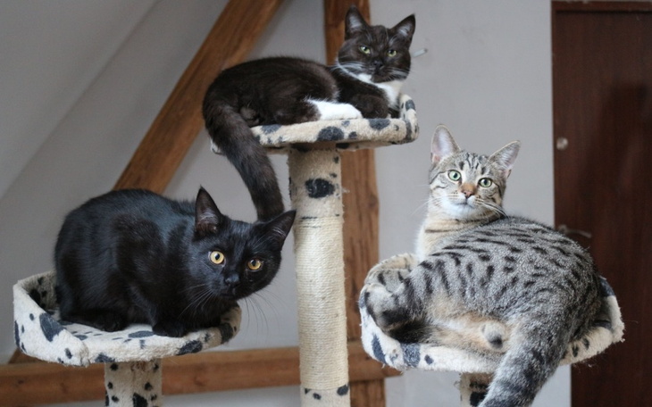 Zbiórka Utrzymanie listopad - zdjęcie główne