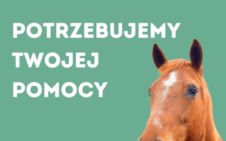Zbiórka Potrzebujemy twojej pomocy - zdjęcie główne