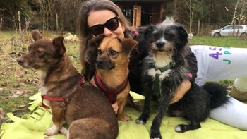 Zbiórka Aga Skala - zbiórka urodzinowa - miniaturka zdjęcia