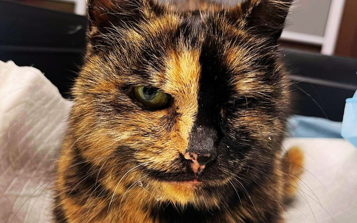 Zbiórka na REZONANS dla Krysieńki - zdjęcie główne