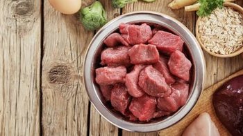 Zbiórka Podaruj posiłek dla naszych psów - miniaturka zdjęcia