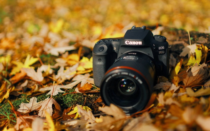 Zbiórka Aparat fotograficzny. - zdjęcie główne