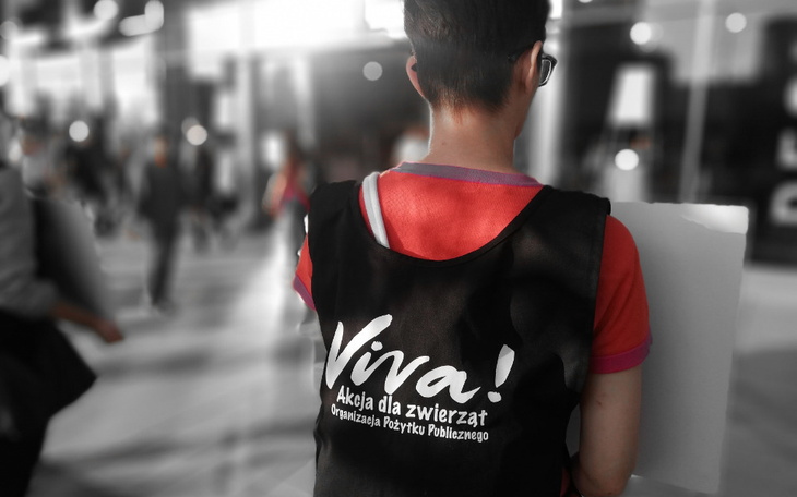 Zbiórka 20zł dla zwierząt - zdjęcie główne