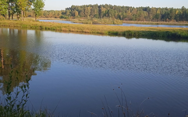Zbiórka Sąsiady - zdjęcie główne