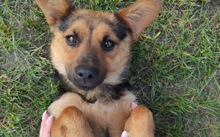 Zbiórka Transport do lepszego życiaa - zdjęcie główne