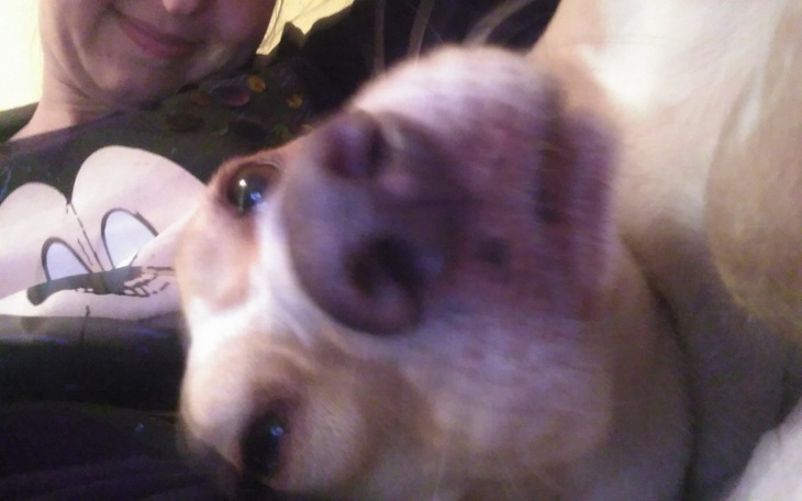 Zbiórka Pomoc w wyjściu koleżance z dług - zdjęcie główne