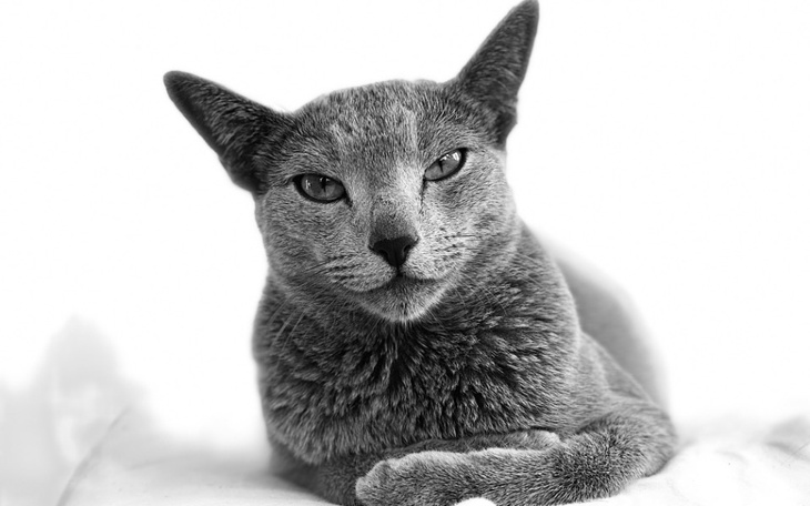 Zbiórka Wsparcie dla Lucka - zdjęcie główne