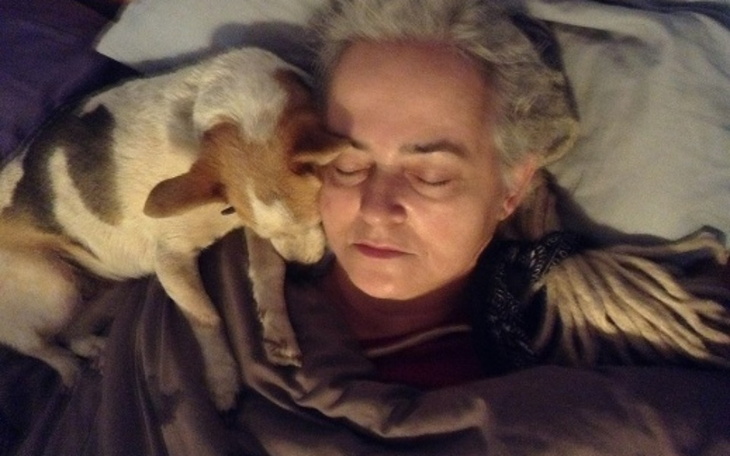 Zbiórka Karma powraca - zdjęcie główne