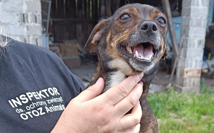 Zbiórka Na transport do lepszego życia - zdjęcie główne