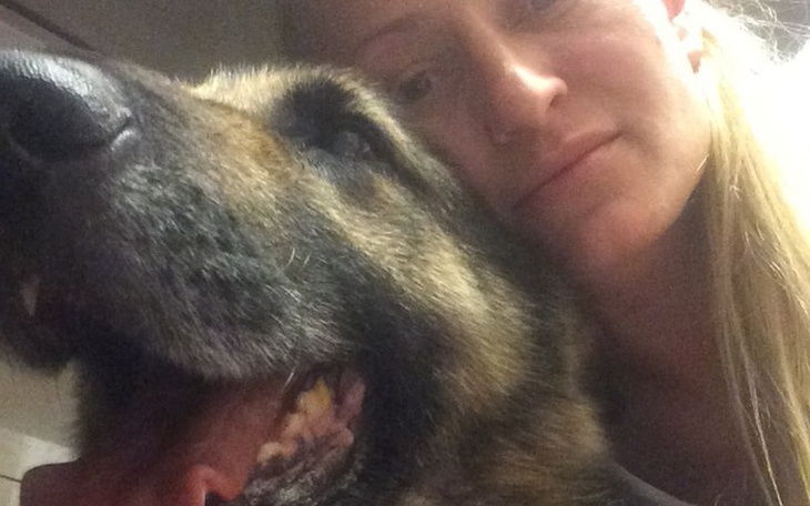 Zbiórka Schyłek życia Brutusa i kompanów - zdjęcie główne