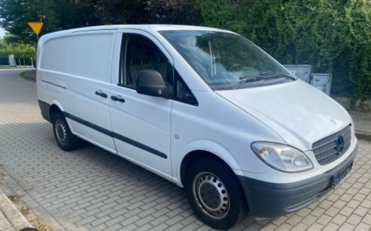 Zbiórka Ogrodymarki-Na busa Vito w639 - zdjęcie główne