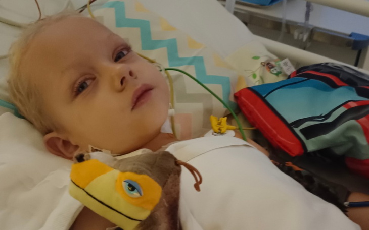 Zbiórka Leczenie, wizyty, rehabilitacja - zdjęcie główne