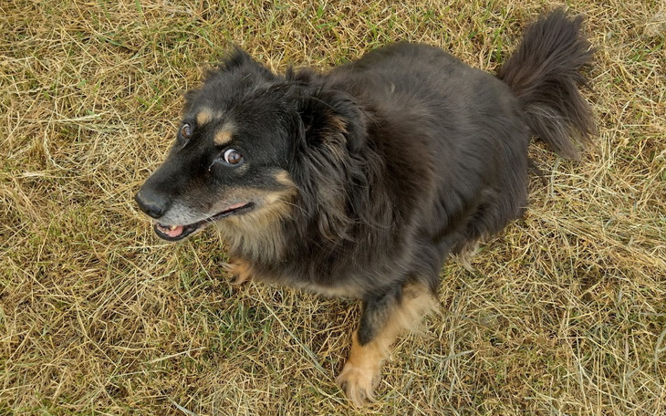 Zbiórka Na opłacenie miejsca dla Marcela - zdjęcie główne