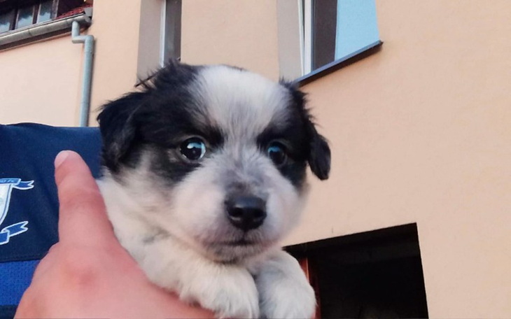 Zbiórka KOJEC dla NIECHCIANYCH.... - zdjęcie główne