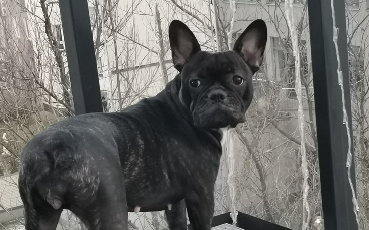 Zbiórka Hera chce biegać - zdjęcie główne