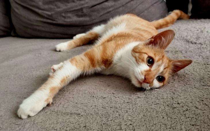 Zbiórka WYPRAWKA dla Znajdy - zdjęcie główne