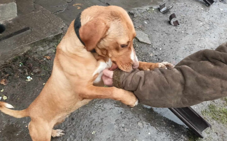 Zbiórka Ucieczka przed schronem. - zdjęcie główne