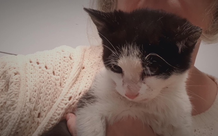 Zbiórka Dyzio po wypadku - zdjęcie główne