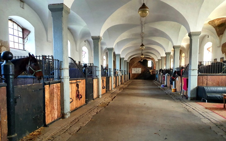 Zbiórka włamanie do kozielskiej Stadniny - zdjęcie główne