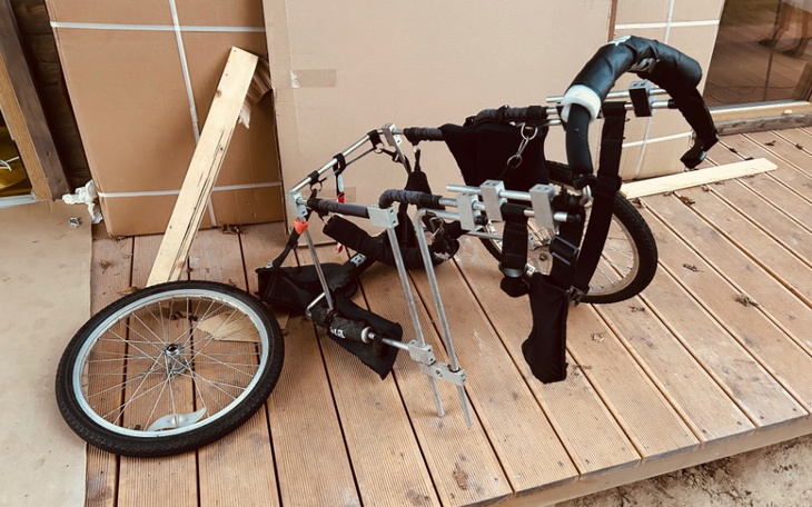 Zbiórka Nowy wózek dla Aresa - zdjęcie główne