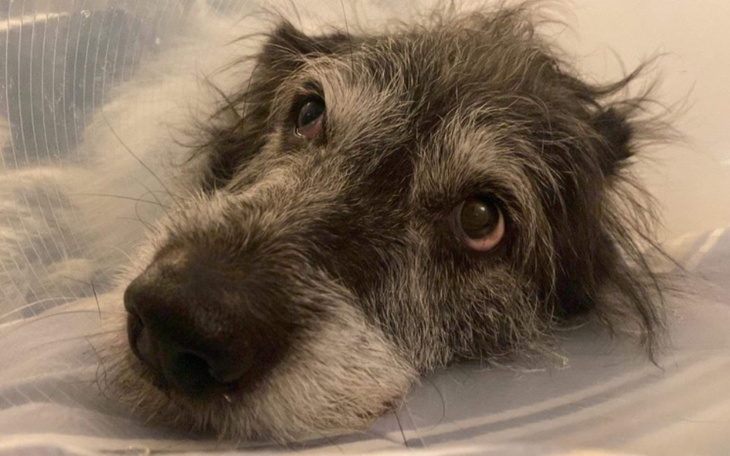 Zbiórka Buffy i Stefan - zdjęcie główne