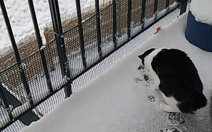 Zbiórka Zbieram dla córeczkę - zdjęcie główne