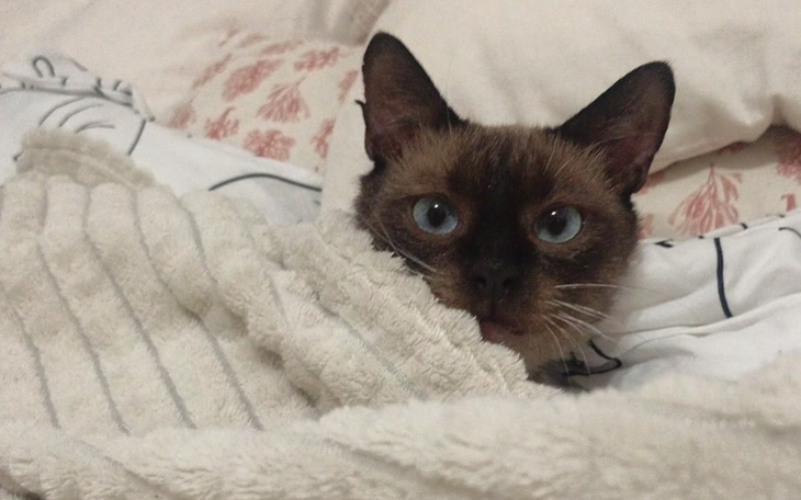 Zbiórka Koszty zabiegów Marcela - zdjęcie główne