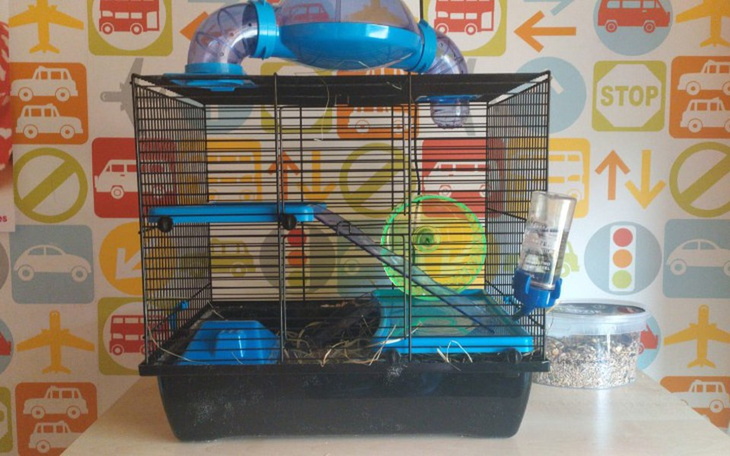 Zbiórka Lepsze warunki dla Gryzoni - zdjęcie główne