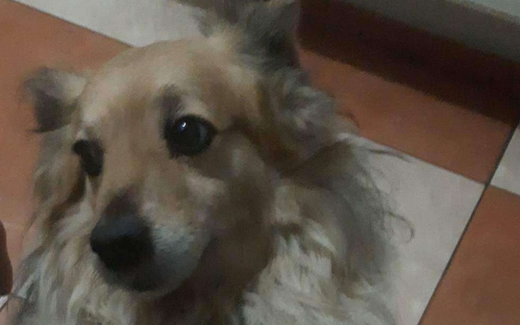 Zbiórka Na piwo piwo - zdjęcie główne