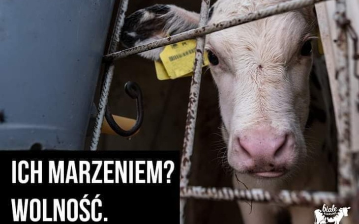 Zbiórka Sprzęt AV -oddział w Łodzi - zdjęcie główne