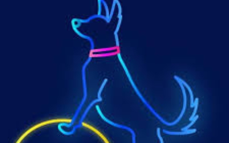 Zbiórka Na studia Zoofizjoterapeutyczne - zdjęcie główne