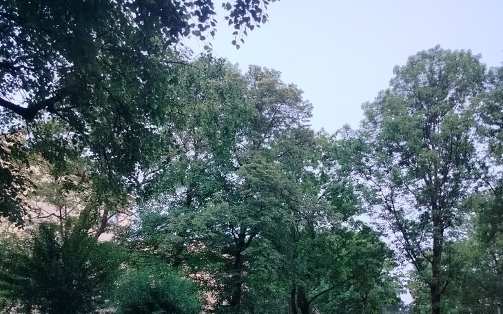 Zbiórka Na życie , for live - zdjęcie główne