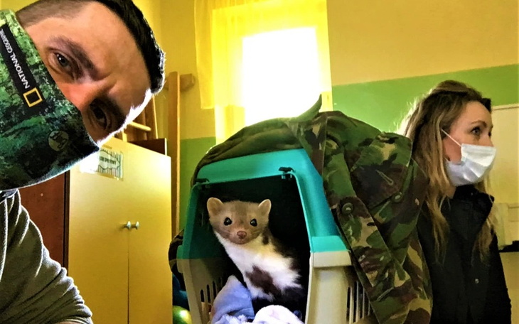 Zbiórka Wszyscy jesteśmy równi - zdjęcie główne