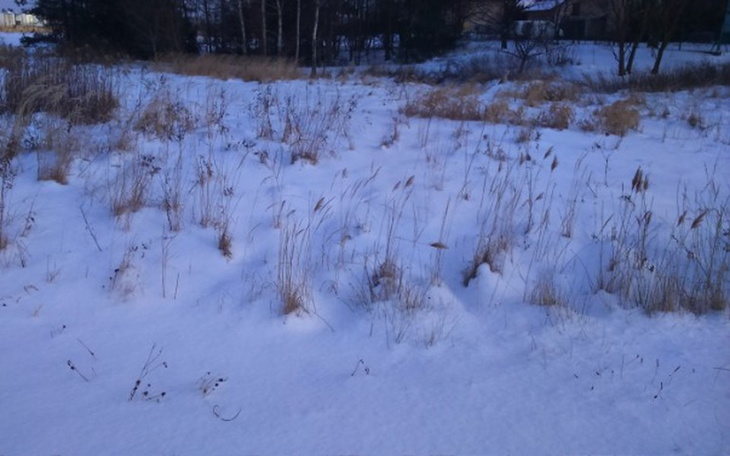 Zbiórka Aparaty słuchowe - zdjęcie główne