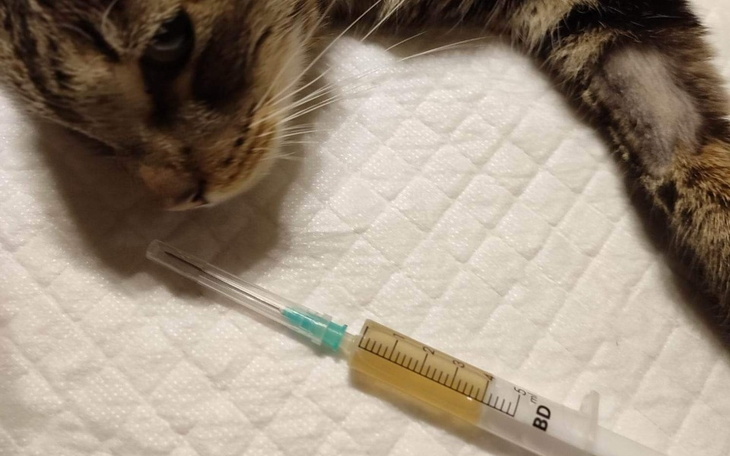 Zbiórka Nie pozwólcie mi umrzeć.. - zdjęcie główne