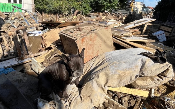 Zbiórka Na odbudowanie po powodzi - zdjęcie główne