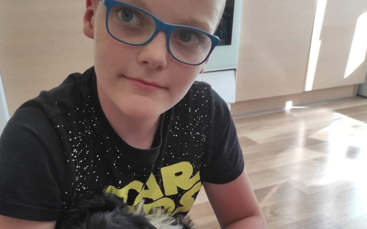 Zbiórka Aparaty słuchowe przetwarzające - zdjęcie główne