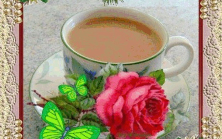 Zbiórka Kupno ogródka - zdjęcie główne