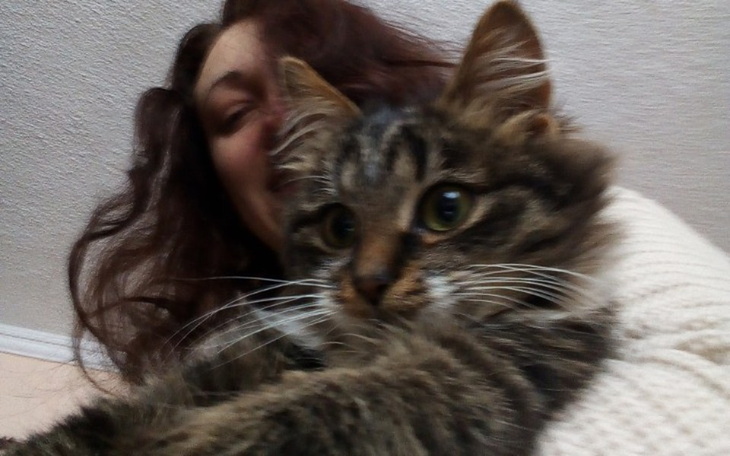 Zbiórka Dla Kociarni z Ostródy - zdjęcie główne